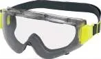 Delta Plus SAJAMA Safety Goggles