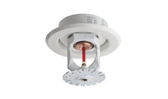 Tyco Series EC-11 and EC-14 Extended Coverage Upright and Pendent Sprinklers, K11.2 and K14.0 (TFP220)