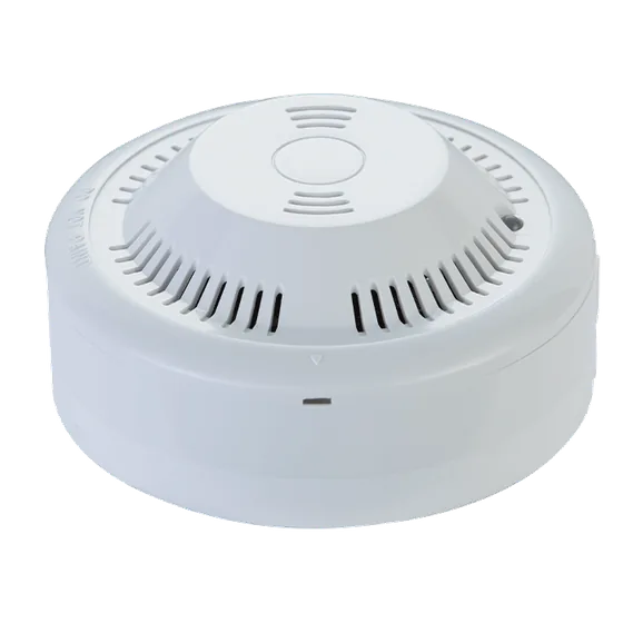 Ravel Carbon Monoxide (CO) Gas Detector with Relay Output