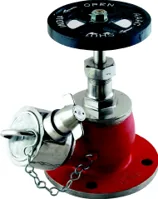 Aaag Oblique Landing Valve, FM Approved, SS 316 (AAAG FM104S4)