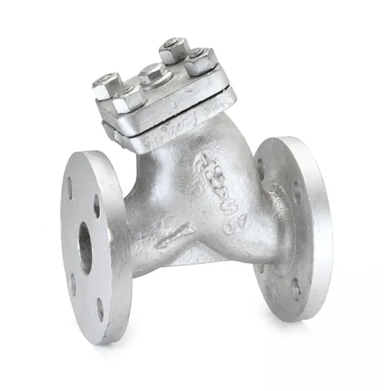 Sant Valves CS-3A Cast Steel Y-Type Strainer, Flanged