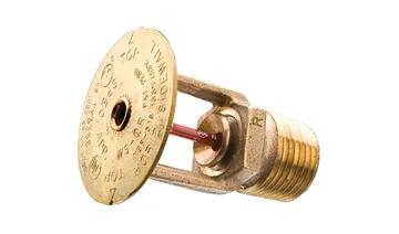 Tyco Model WS Specific Application Window Sprinkler, Horizontal and Pendent Vertical Sidewall, K5.6 (TFP620)