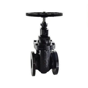 Zoloto Cast Iron Sluice Valve, PN 1.6, Non Rising Stem (1079B)