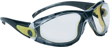 Delta Plus PACAYA Safety Glasses