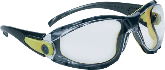 Delta Plus PACAYA Safety Glasses