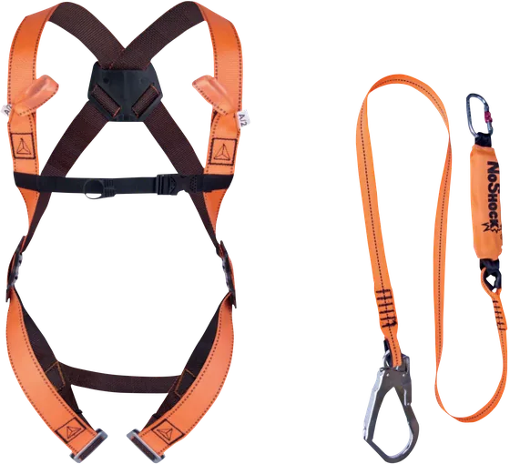 Delta Plus ELARA190 Scaffolding Fall Arrest Kit, Webbing Lanyard
