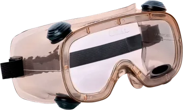 Delta Plus RUIZ 1 Safety Goggles