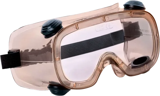 Delta Plus RUIZ 1 Safety Goggles