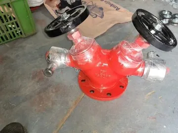 Balaji Fire Safety Double Headed Landing Valve, Cast Iron Body, 63 mm Outlets