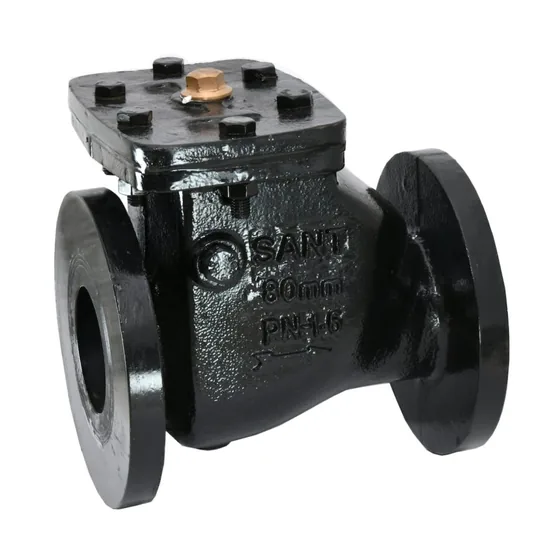 Sant Valves CR-31 Cast Iron Reflux Valve, Swing Check, IS 5312, PN10