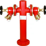 Aaag Wet Hydrant, Double Outlet, Mild Steel (AAAG M194A)