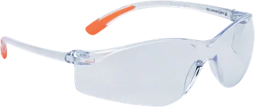 Delta Plus MEIA Safety Glasses