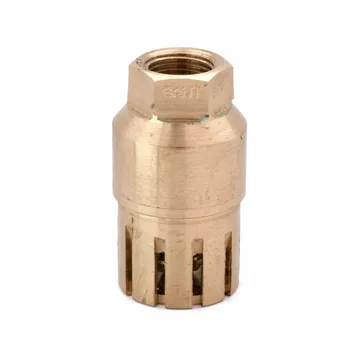 Sant Valves IS-21 Bronze Foot Valve, Screwed