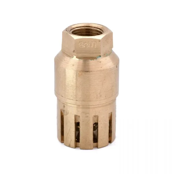 Sant Valves IS-21 Bronze Foot Valve, Screwed