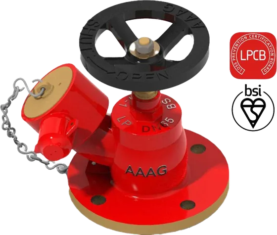 Aaag Wet Riser Landing Valve G-104, BS 5041-1, LPCB Approved, Bronze, Flanged Inlet