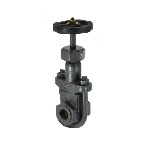 Sant Valves CI-13 Cast Iron Gate Valve, All Iron, Clip Pattern, Screwed