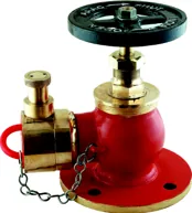 Aaag Right Angle Landing Valve (AAAG 103)