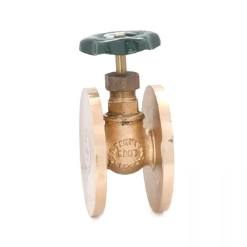 Sant Valves SBM-6 Bronze Globe Valve No.8, Flanged